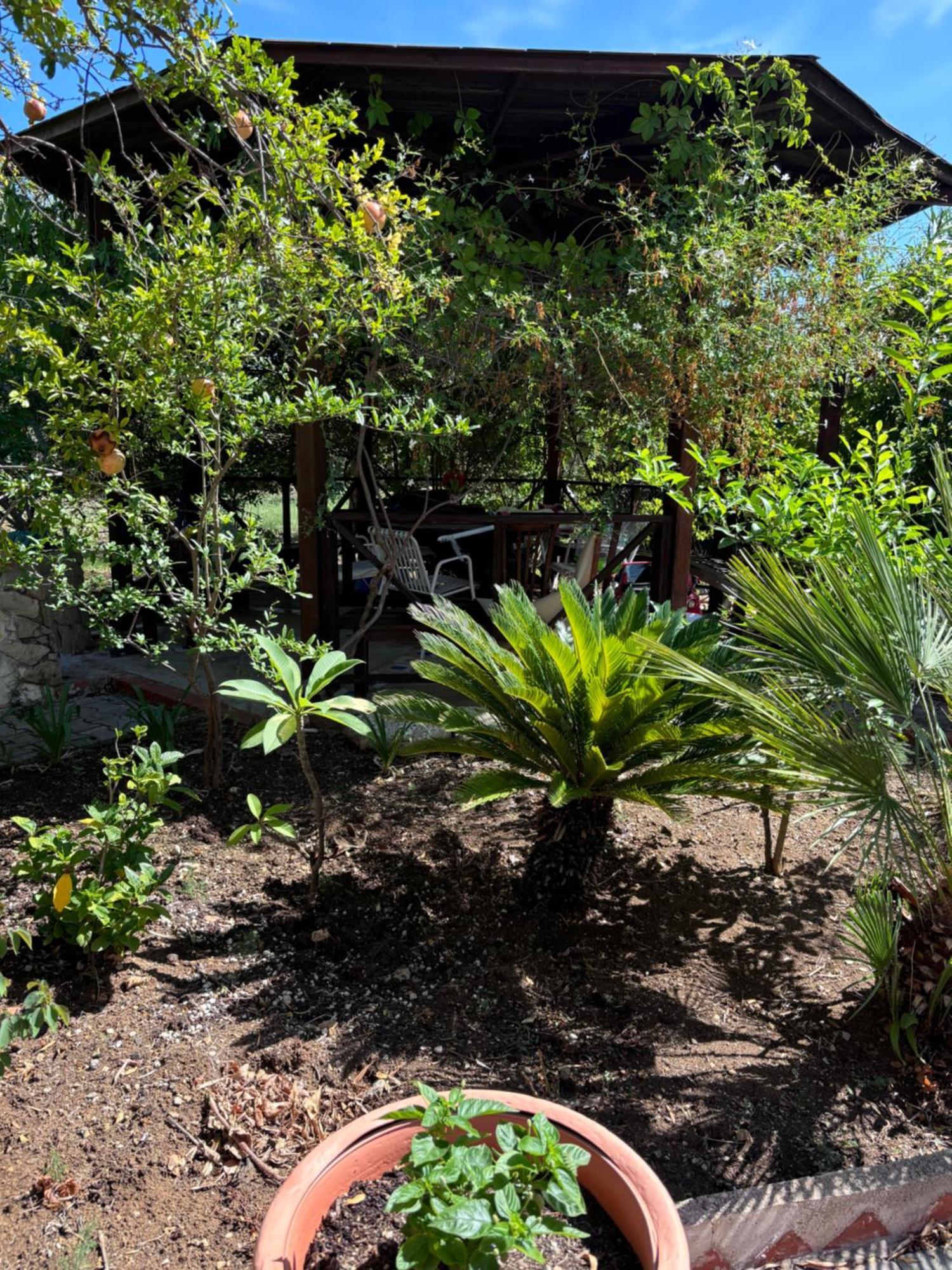 Villa A Casa Di Alma Trabia Exterior foto